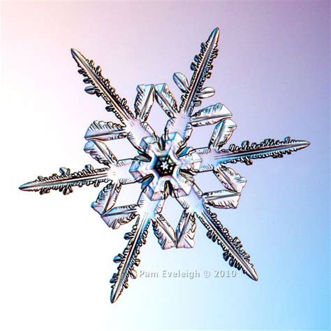 Sc4577 Snowflakes Art Snowflakes Real Snowflake Photos