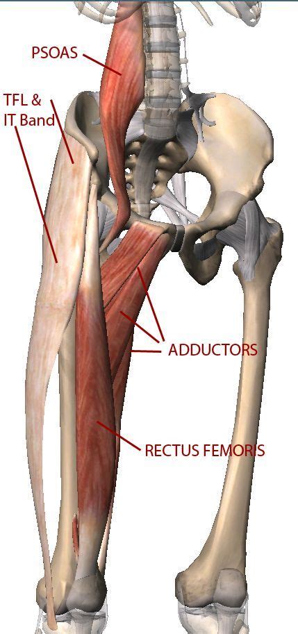There's more to the core than abs. Pin on El Paso Posture Institute