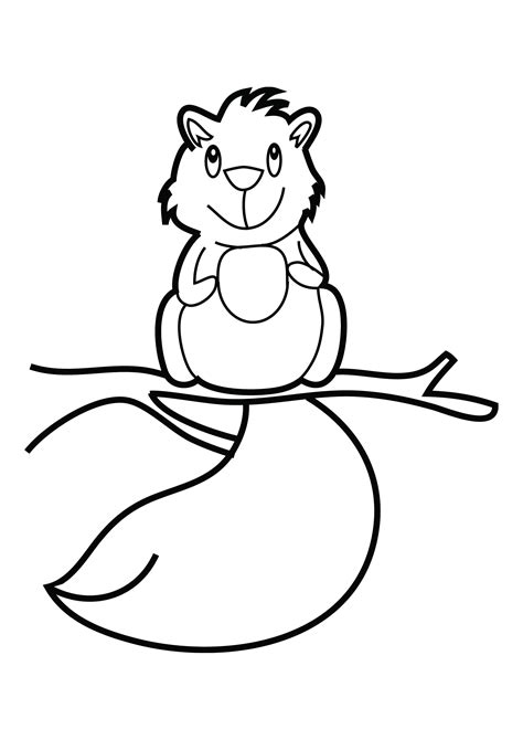 Free Printable Squirrel Coloring Pages For Kids Animal Place