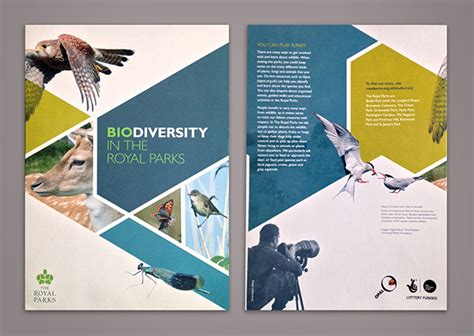 35 Beautiful Modern Brochure And Folder Design Ideas 2014
