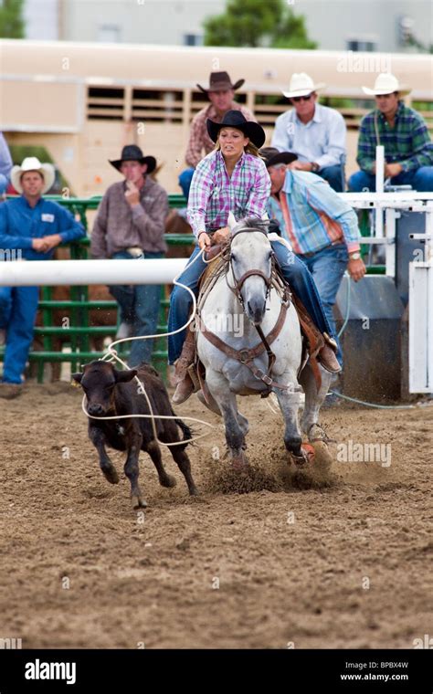 Cowgirl On Horseback Competes In The Tie Down Roping Event Chaffee