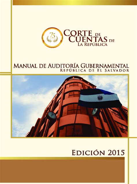 Pdf Manual De Auditoría Gubernamental 2015 Ramon Armando