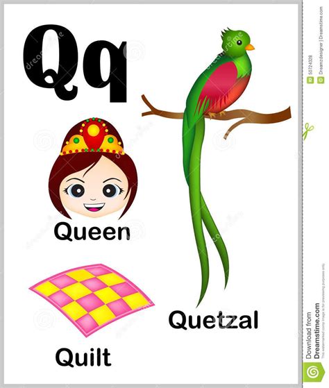 Alphabet Letter Q Pictures Stock Vector Illustration Of Language