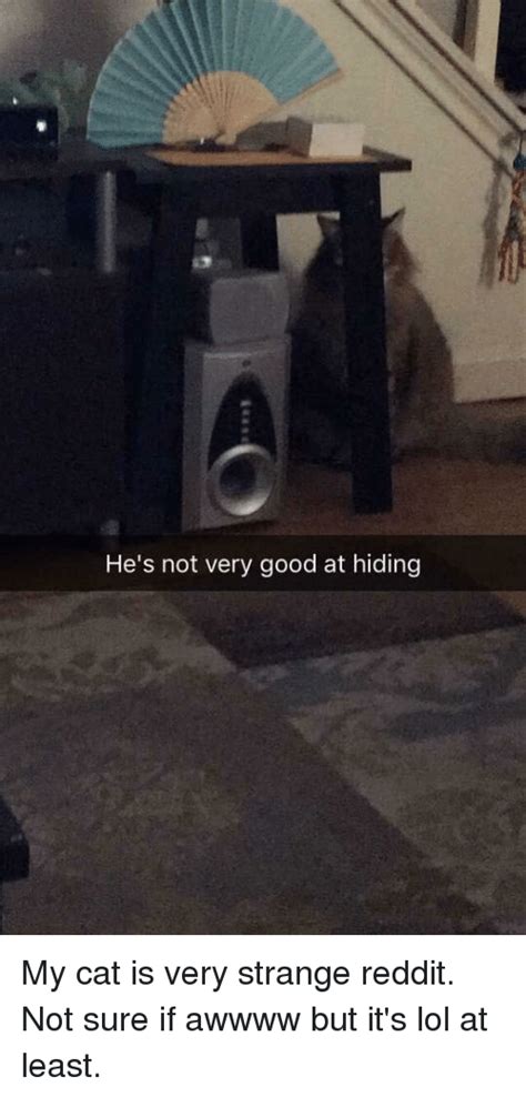 Hes Not Very Good At Hiding Lol Meme On Sizzle
