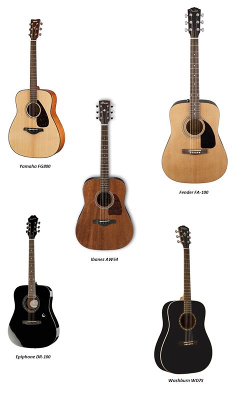 Top 5 Best Acoustic Guitars For Beginners Spinditty