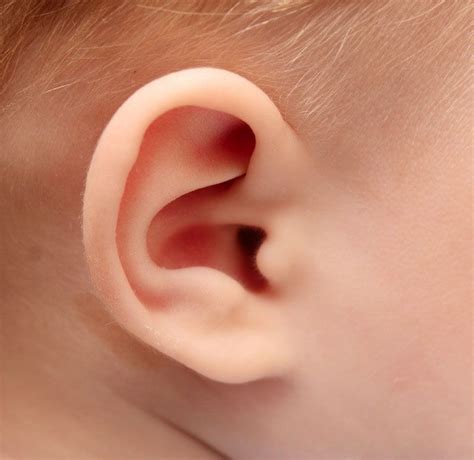 Boys Ear Problems Had Rare Cause Gut Disease Live Science