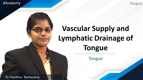 Anatomy Tongue Vascular Supply And Lymphatic Drainage Of Tongue