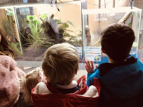 Paignton Zoo Visit For Kingswear Primary School Pupils Education