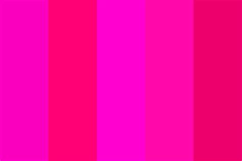 Hot Pink Color Palette Colorpalette Colorpalettes Colorschemes