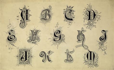 15 Vintage Typography Fonts And Flourishes Free Stock Graphics