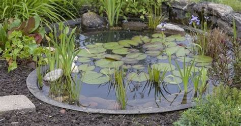 Diy Backyard Pond Tips Bob Vila