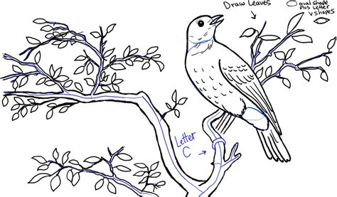 Https://tommynaija.com/draw/how To Draw A Bird In A Tree