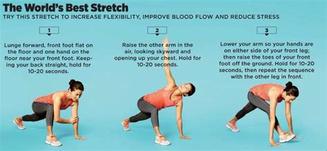 Aarps Worlds Best Stretch Exercise Health Nutrition
