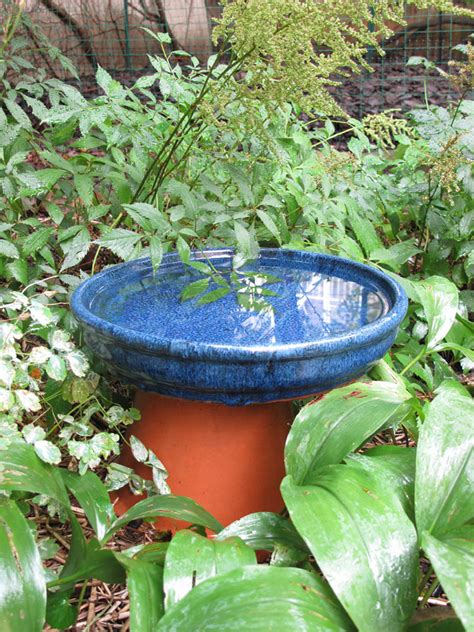 Check spelling or type a new query. How To Make A Bird Bath: At Home, From Clay Pots