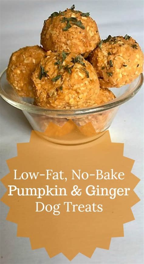 Low Fat No Bake Pumpkin And Ginger Dog Treats