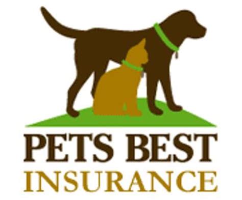 Maybe you would like to learn more about one of these? Dog Health Insurance Policies
