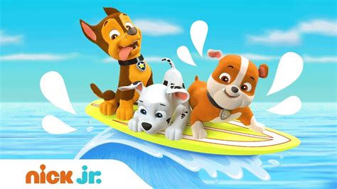 Paw Patrol Pups Make A Splash Vlr Eng Br