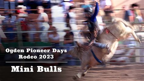 Ogden Pioneer Days Rodeo 2023 Mini Bull 03 Youtube