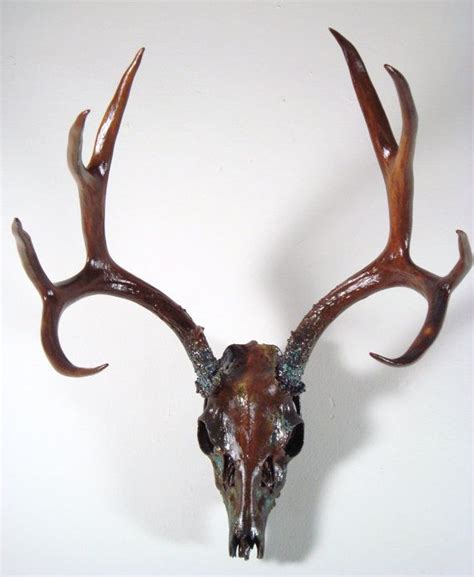 Deer Skull Taxidermy Antlers Painted Rust Bronze Natural Aqua Patina