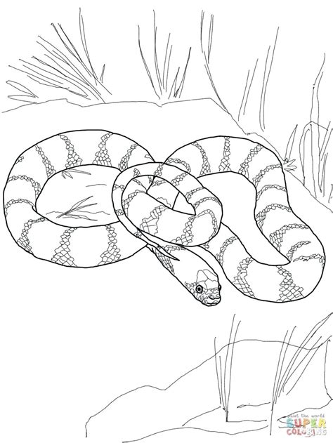 Gudskjelov 41 Lister Over Realistic Snakes Drawings Drawn Serpent Vrogue