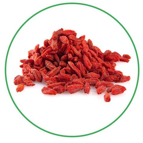 China Dried Goji Berry Wolfberry Wolfberry Manufacturers Suppliers