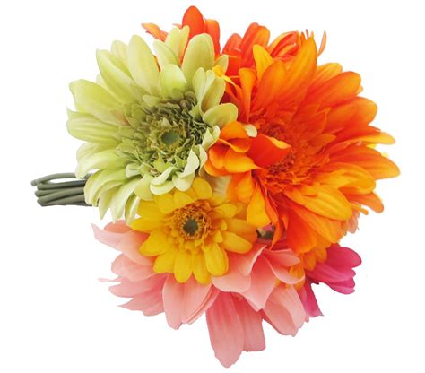 Get the best deals on pink wedding bouquets. Silk Gerbera Daisy Bouquet Fuchsia Pink Cream and Yellow ...