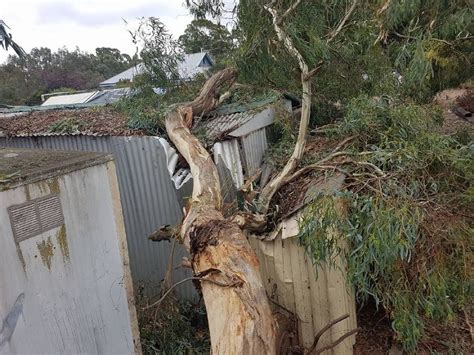 Mother and son rescued, major power outages as wild weather batters victoria. Mass power outages as Ballarat receives a month worth of ...