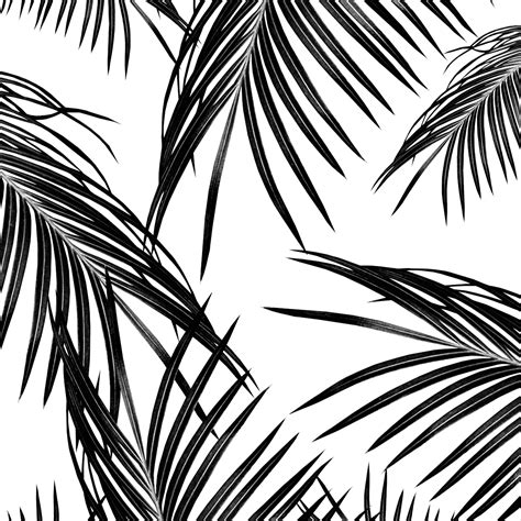 Black Palm Leaves Dream 1 Wallpaper Happywall