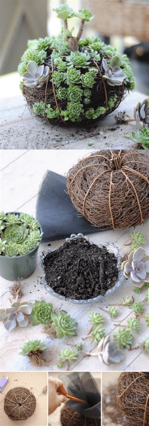 Place your potted garden on overturned pots to grab attention with bold plant forms. 12+ Colorful Succulent Container Garden Ideas For Your ...