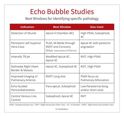 6 Tips To Improve An Echo Bubble Study Cardioserv