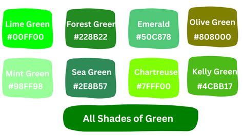 All Different Shades Of Green Guide The Color Ency