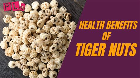 Health Benefits Of Tiger Nuts And Other Non Health Benefits
