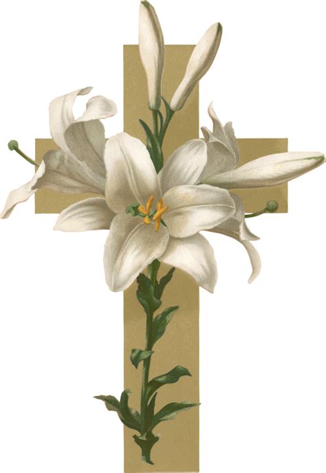 Easter Lilies Png Image Background Png Arts