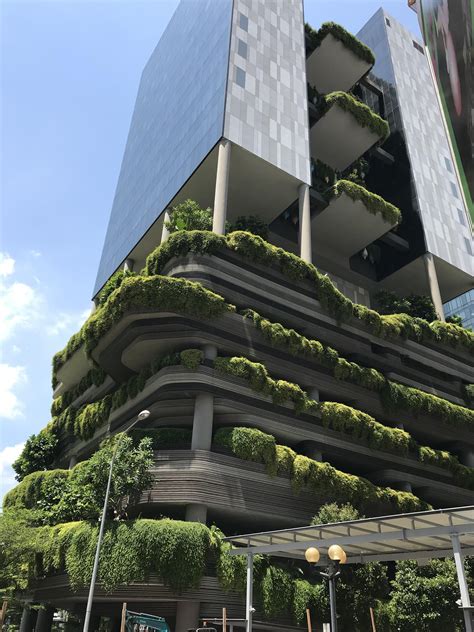 This Hotel In Singapore Is Very Green Rmildlyinteresting