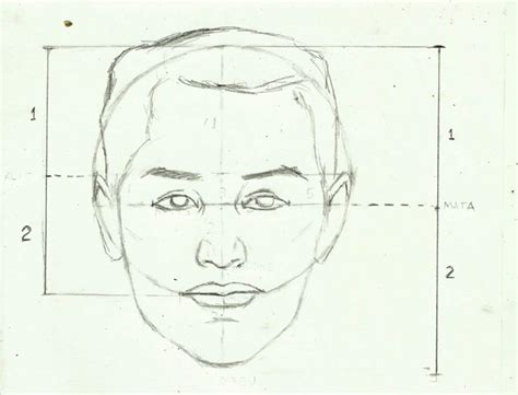 Gambar Teknik Menggambar Sketsa Wajah Proporsi Manusia Gambar Lukisan