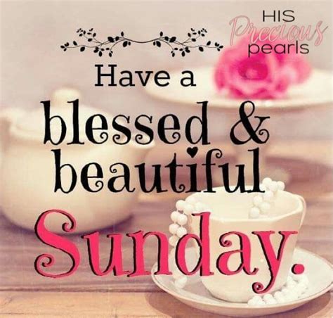 Happy Sunday Everyone Have A Blessed And Beautiful Sunday Guys