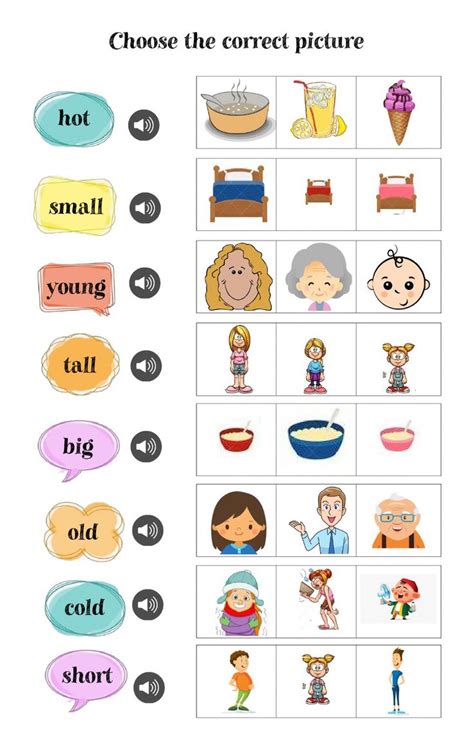 Opposites Interactive And Downloadable Worksheet You Can Do The