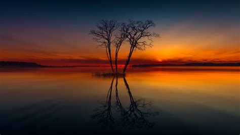 Horizon Lake Nature Reflection Sunset Tree 4k Wallpaper 4k