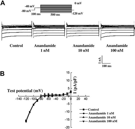 Effects Of Anandamide On Potassium Channels In Rat Ventricular Myocytes
