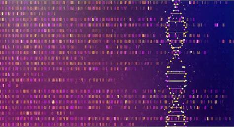 Researchers Generate The First Complete Gapless Sequence Of A Human Genome Nexus Newsfeed