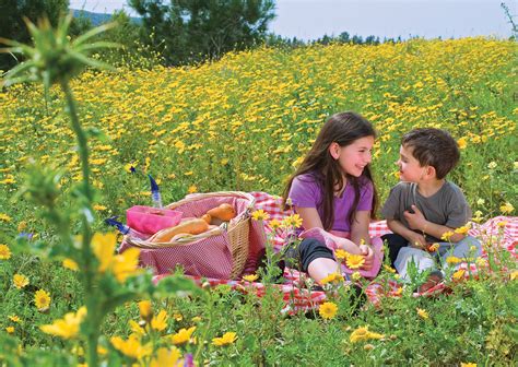 The name means big cold spring in the ojibwe language. 8 Spots for a Perfect Spring Picnic Spread in the Greater ...