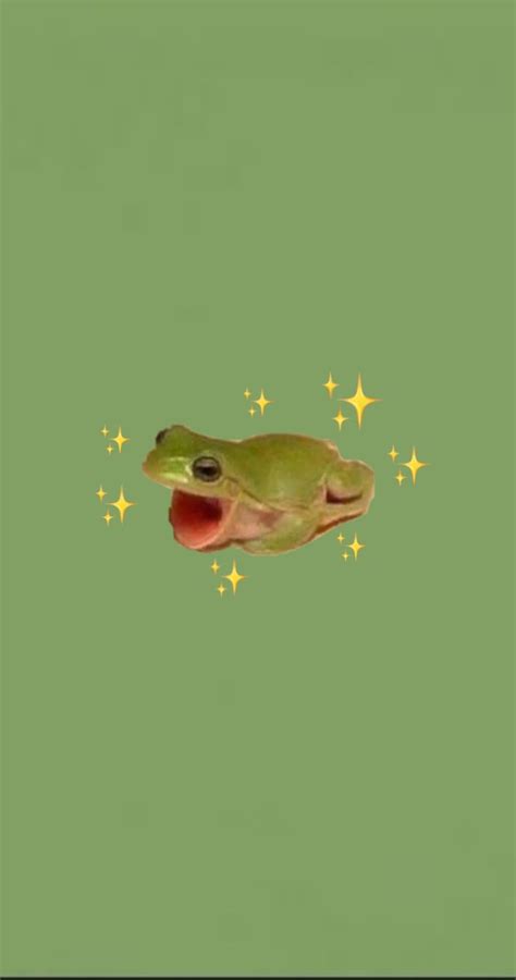 Froggy Edits Frog Wallpaper Cute Frogs Frog Pictures