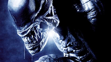 Humans give birth to aliens through. Aliens vs. Depredador 2 — Alt-Torrent.com