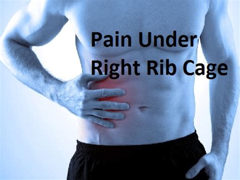 Some of the most common causes of rib cage pain stem from sports and physical activity. Pain Under Right Rib Cage