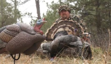 Fall Turkey Hunting Tips Outdoorhub