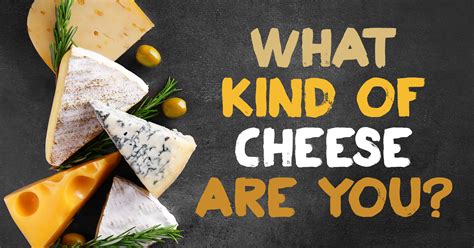 Kindness will serve you well. Cheese Quiz: What Cheese Are You? - Quiz - Quizony.com