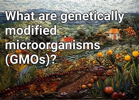What Are Genetically Modified Microorganisms Gmos Agriculturegov