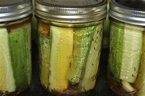 Refrigerator Dill Pickles Recipe No Canning Required