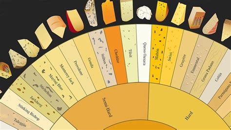 Infographic An Illustrated Guide To 66 Types Of Cheese Wired