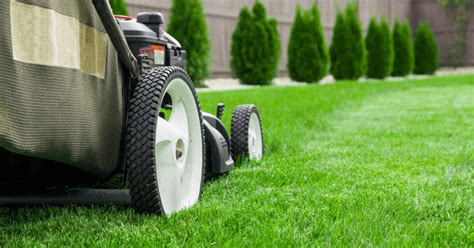 How Effective Lawn Mowing Services Contribute In Beautifying Your Garden